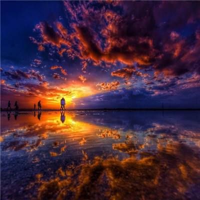 迭戈雨林大冒险